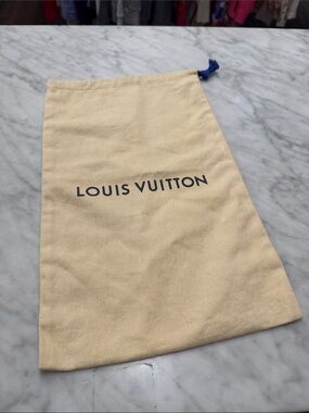 Louis Vuitton Single Sleeper/Storage Bag
